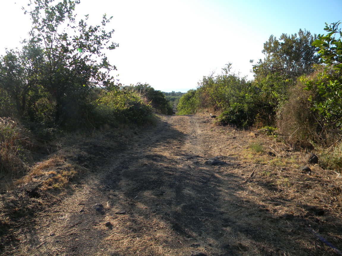 DSCN7977 .JPG